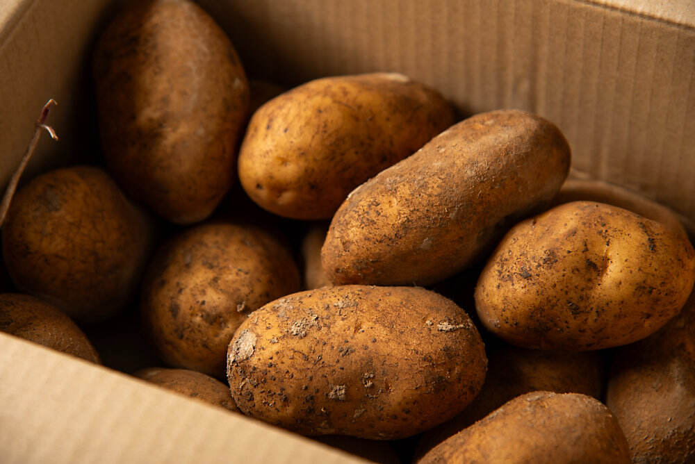 熟成じゃがいも