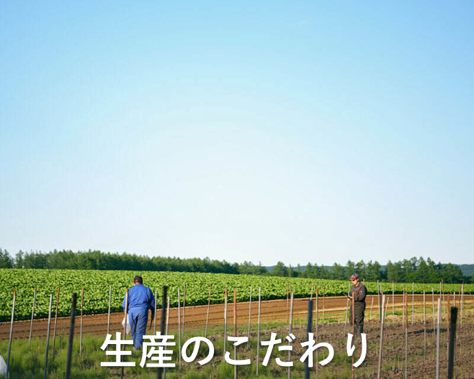 生産のこだわり