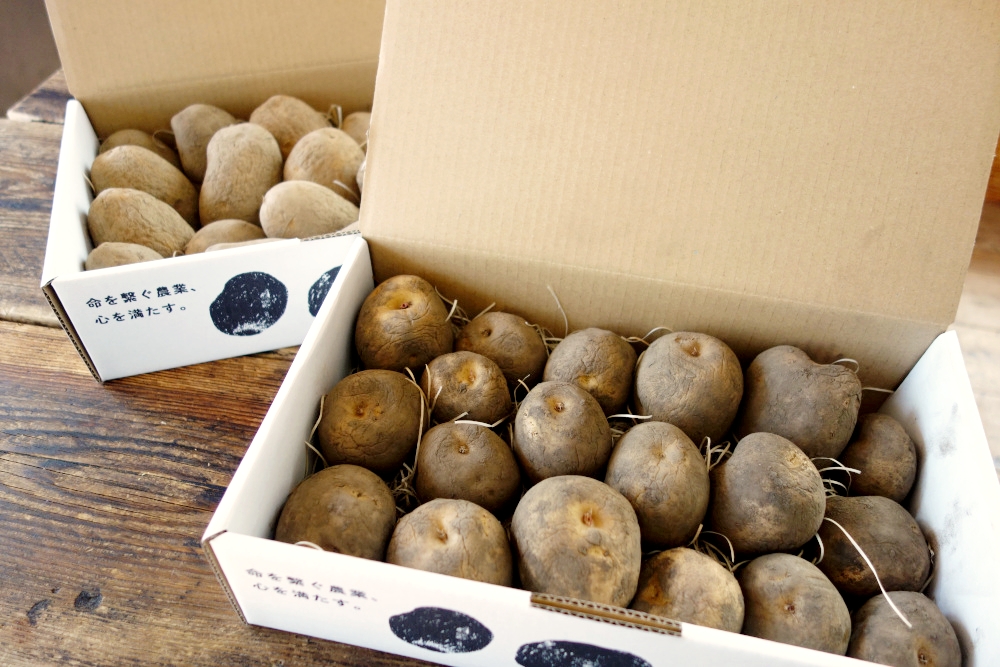 熟成じゃがいも荷姿