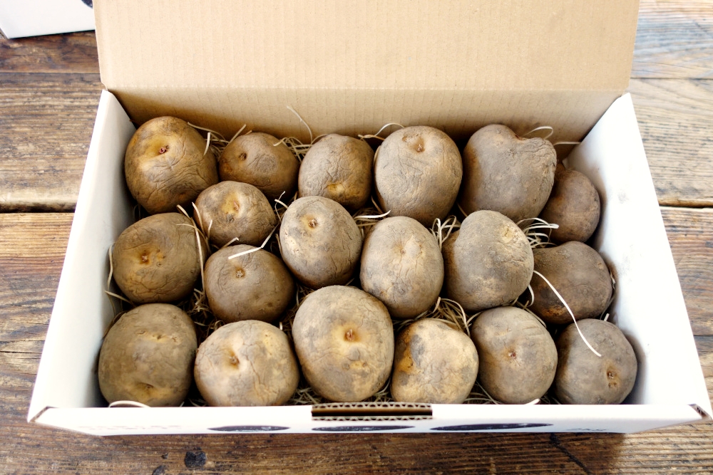 熟成じゃがいも荷姿