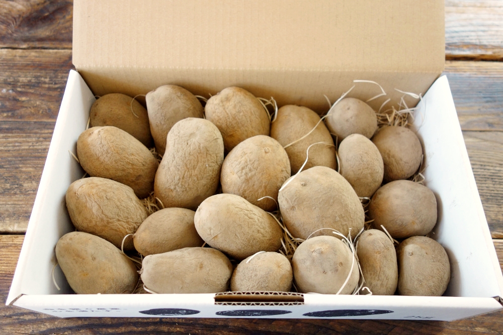 熟成じゃがいも荷姿