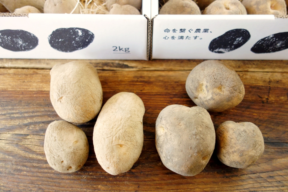 熟成じゃがいも