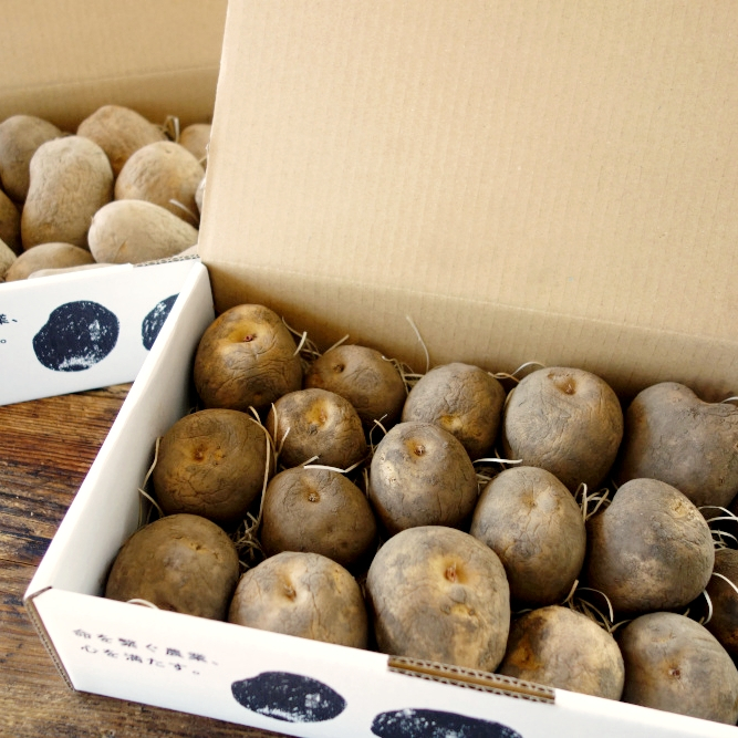 熟成じゃがいも