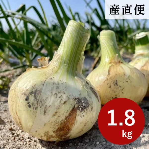 淡路島産新玉ねぎ