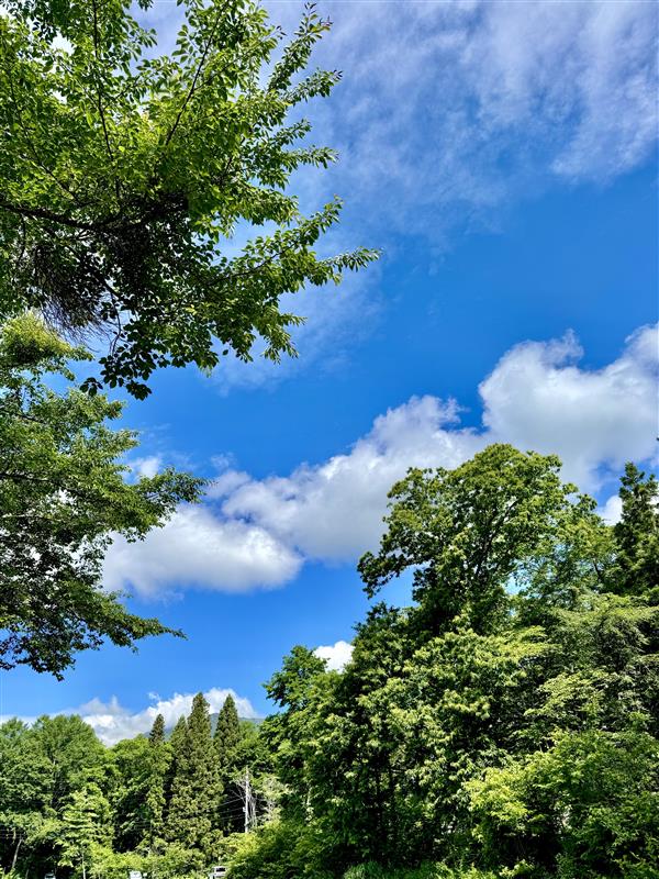 梅雨の晴れ間の空