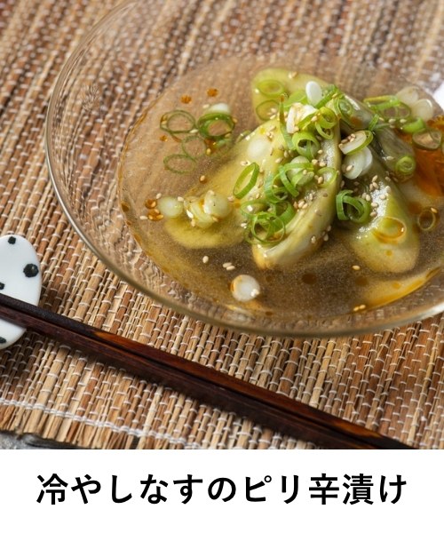 冷やしなすのピリ辛漬け　旨味豊かな昆布だし