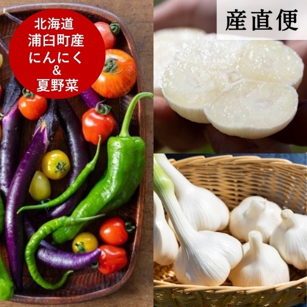 ＜北海道浦臼町産＞にんにく＋夏野菜セット