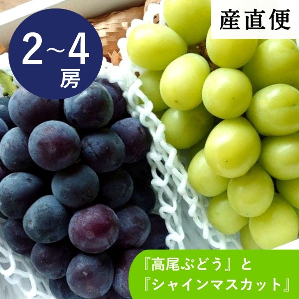 うまいもの産直便　高尾ぶどう・シャインマスカット【久世福商店】