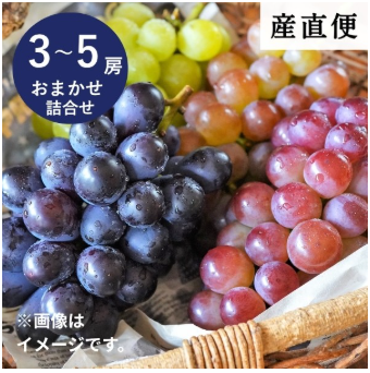 うまいもの産直便　３～５房おまかせ【久世福商店】